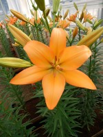 [5091 Casino Royale No01.JPG]